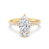 2ct Solitaire Ring Pavé Band