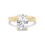 3ct Solitaire Ring Pavé Band