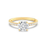 1ct Solitaire Ring Pavé Band [1]