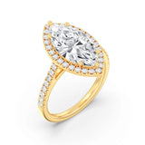 3ct Solitaire Ring Pavé Band with Halo [1]