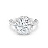 3ct Solitaire Ring Pavé Band with Halo [1]