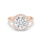 3ct Solitaire Ring Pavé Band with Halo [1]